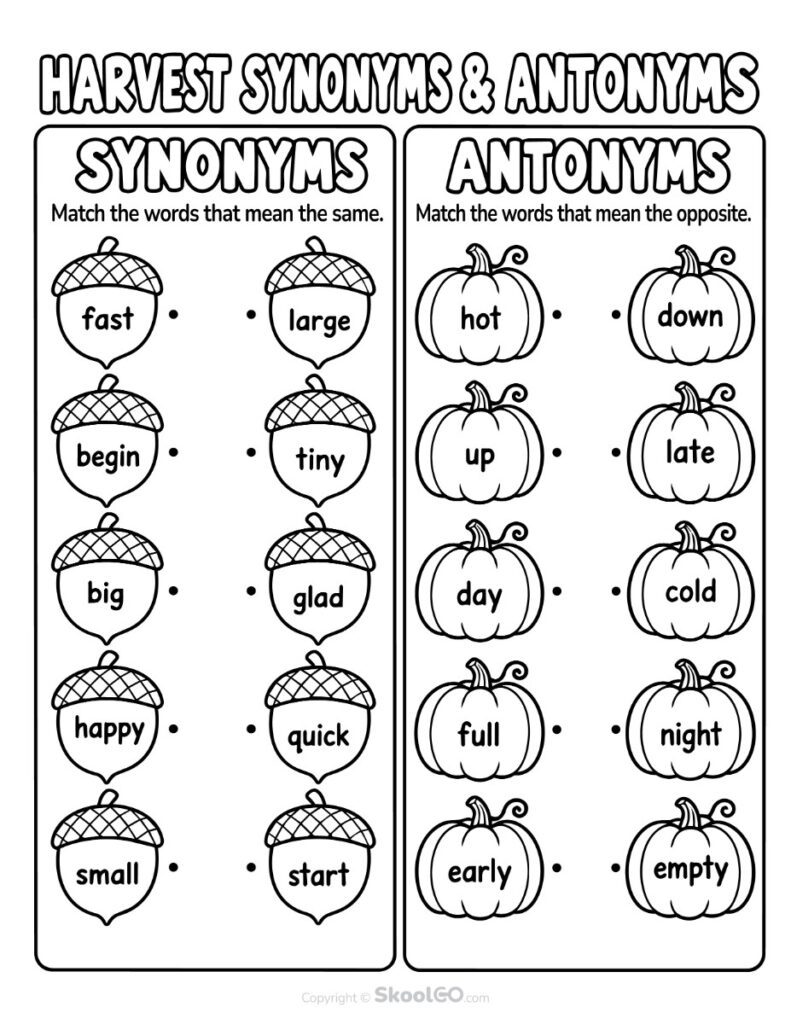 Harvest Synonyms and Antonyms Matching Worksheet Black and White Black and white version of the Harvest Synonyms and Antonyms Matching Worksheet