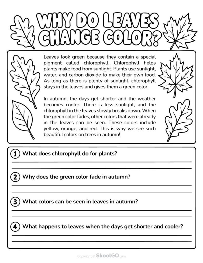 Why Do Leaves Change Color Black and White Worksheet Black and white printable Why Do Leaves Change Color reading comprehension worksheet.
