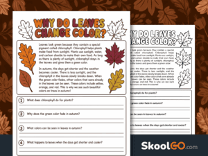Free printable Why Do Leaves Change Color worksheet for reading comprehension and autumn science.
