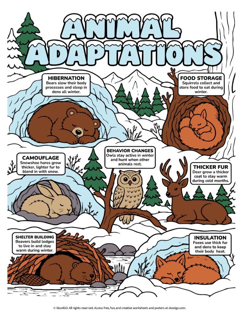 Winter Animal Adaptations – Color Reference Chart Colorful winter animal adaptations chart explaining hibernation, food storage, camouflage, behavior changes, thicker fur, shelter building, and insulation.