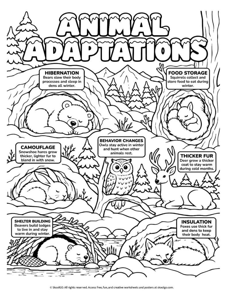 Animal Adaptations – Black-and-White Coloring Page Black-and-white winter forest coloring page featuring seven animals and labeled explanations of their winter adaptations.