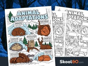 Animal adaptations worksheet showing seven winter survival strategies with illustrated bears, squirrels, hares, owls, deer, beavers, and foxes.